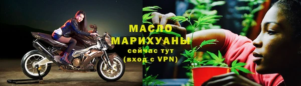 сатива Волоколамск