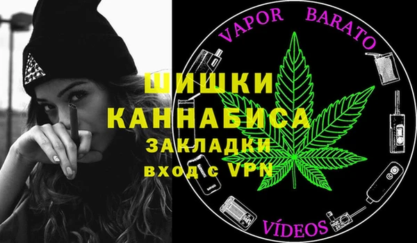 сатива Волоколамск
