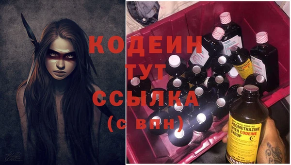 сатива Волоколамск