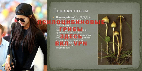 сатива Волоколамск