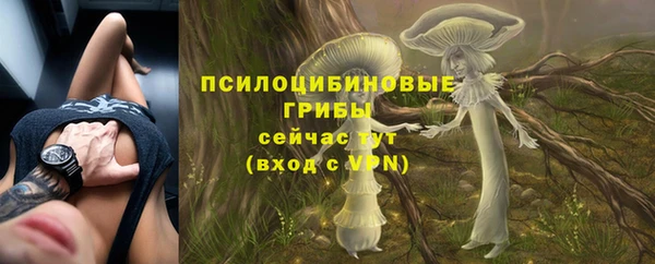 сатива Волоколамск