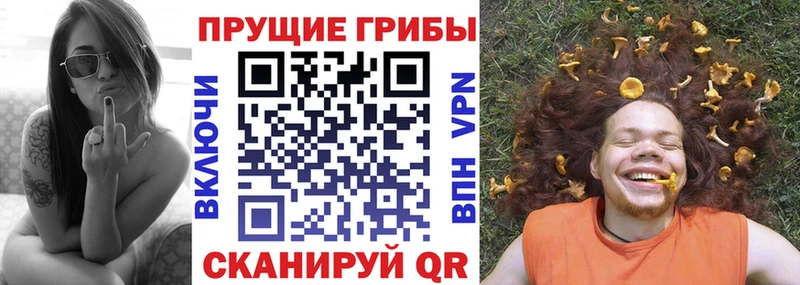 где купить наркоту  Камышлов  Псилоцибиновые грибы прущие грибы 